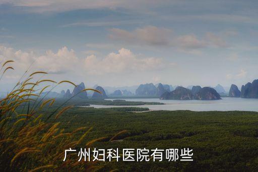 廣州婦科體檢醫院有哪些，廣州比較權威正規的婦科體檢醫院是哪家