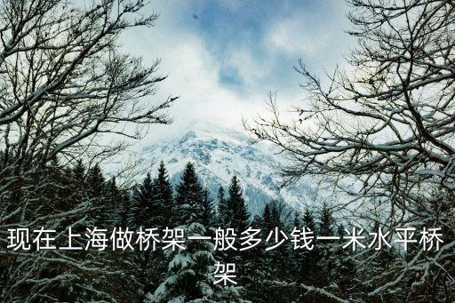上海市橋架價格地址，上海工程價格55一個定額做一米600橋架多少錢