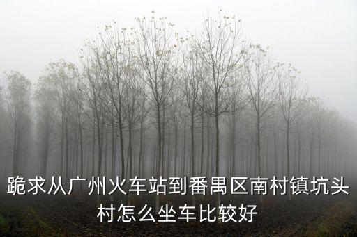 跪求從廣州火車站到番禺區南村鎮坑頭村怎么坐車比較好