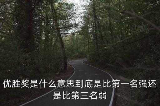上海市智慧工匠優(yōu)勝獎，優(yōu)勝獎是什么獎