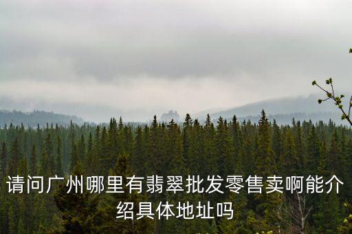 請問廣州哪里有翡翠批發零售賣啊能介紹具體地址嗎