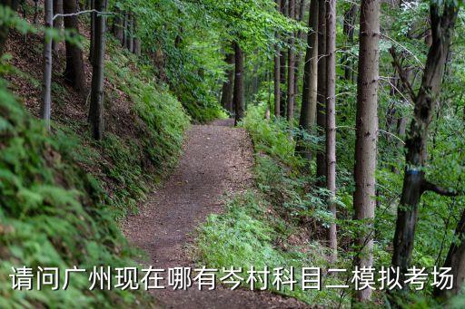 廣州市岑村科目二考場地址，請問廣州現在哪有岑村科目二模擬考場