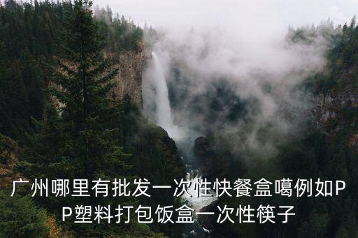 廣州哪里有批發一次性快餐盒噶例如PP塑料打包飯盒一次性筷子