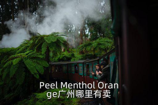 Peel Menthol Orange廣州哪里有賣