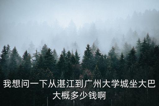 我想問一下從湛江到廣州大學城坐大巴大概多少錢啊