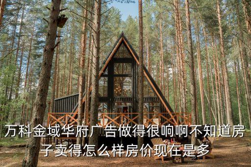 萬科金域華府廣告做得很響啊不知道房子賣得怎么樣房價(jià)現(xiàn)在是多