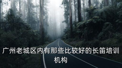 廣州老城區(qū)內(nèi)有那些比較好的長笛培訓(xùn)機(jī)構(gòu)