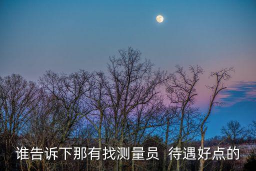 上海市政測量，如何快速測試上海市井蓋個數