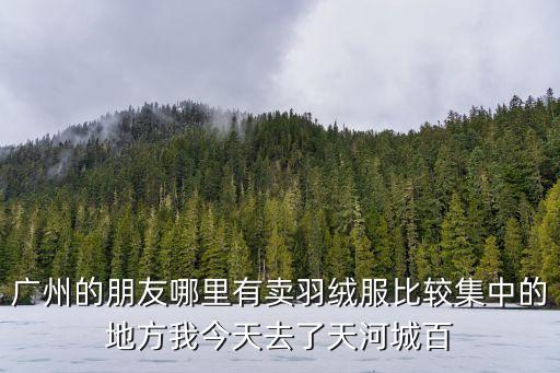 廣州哪里能買到帝虎羽絨服，廣州的朋友哪里有賣羽絨服比較集中的地方我今天去了天河城百