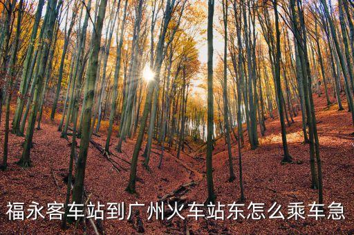 福永到廣州東站怎坐車，福永客車站到廣州火車站東怎么乘車急