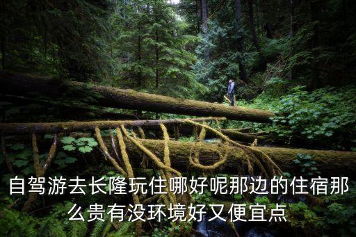 廣州長(zhǎng)隆自駕游住宿實(shí)惠，自駕廣州長(zhǎng)隆樂(lè)園找個(gè)民宿住和閨蜜兩個(gè)人求好看且質(zhì)量好的民宿