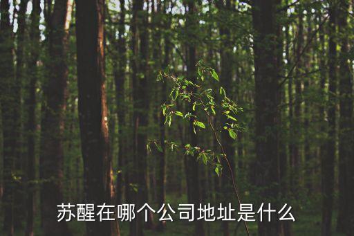 蘇醒在哪個公司地址是什么