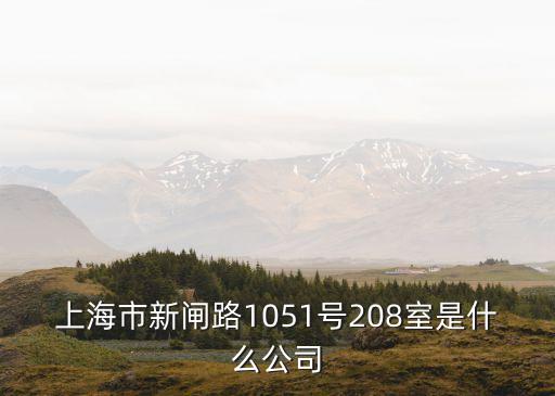 上海市新閘路1051號208室是什么公司