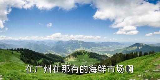 在廣州在那有的海鮮市場啊