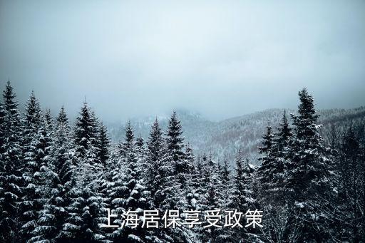 上海市城鄉居保宣傳，關于2023年上海市城鄉居民基本醫療保險有關事項的通知