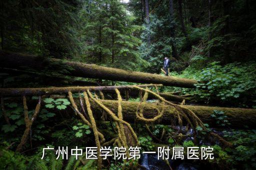 廣州中醫(yī)專(zhuān)家楊曼，廣州中醫(yī)學(xué)院第一附屬醫(yī)院