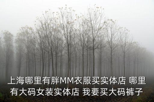 上海市楊浦區衣隨衣動大碼女裝，上海哪里有胖MM衣服買實體店 哪里有大碼女裝實體店 我要買大碼褲子