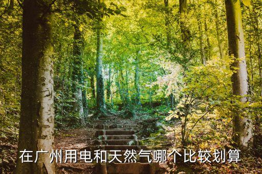 廣州用天然氣劃算還是電，在廣州用電和天然氣哪個(gè)比較劃算