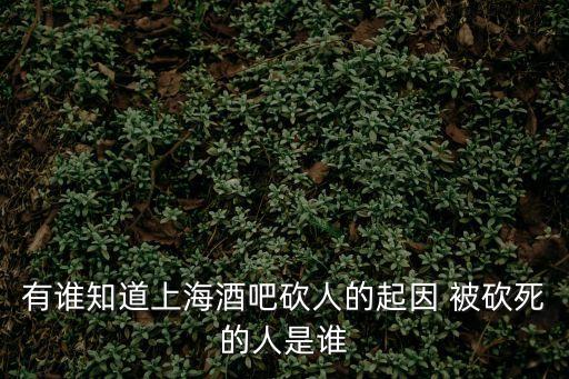 上海市紀(jì)王鎮(zhèn)酒吧捅死人事件，上海酒吧打架事件各位怎么看
