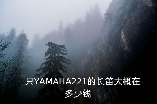廣州長笛價格表，在廣州買長笛要多少錢