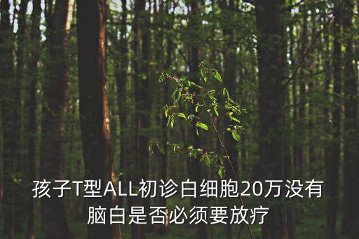 孩子T型ALL初診白細胞20萬沒有腦白是否必須要放療