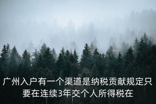 廣州追交三年個(gè)稅，廣州入戶有一個(gè)渠道是納稅貢獻(xiàn)規(guī)定只要在連續(xù)3年交個(gè)人所得稅在