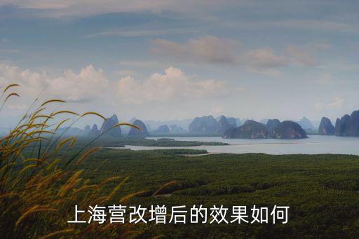 上海市動產(chǎn)擔保試點，上海典當行汽車抵押貸款利息多少