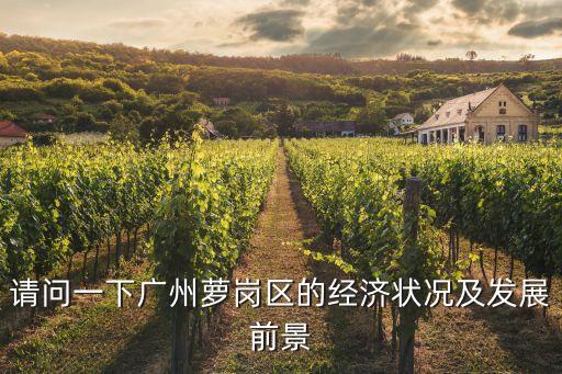 請問一下廣州蘿崗區的經濟狀況及發展前景