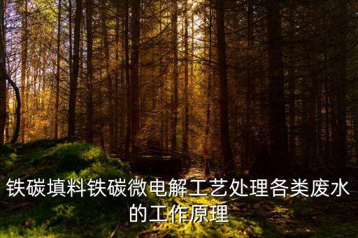 鐵碳填料鐵碳微電解工藝處理各類廢水的工作原理