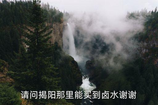 請問揭陽那里能買到鹵水謝謝