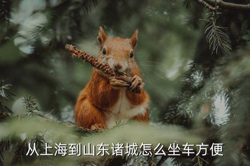 上海市回諸城市汽車，坐汽車從上海到諸城需要多長(zhǎng)時(shí)間