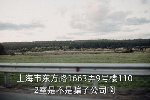 上海市東方路1663弄9號樓1102室是不是騙子公司啊
