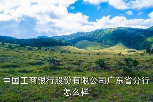 中國(guó)工商銀行股份有限公司廣東省分行怎么樣