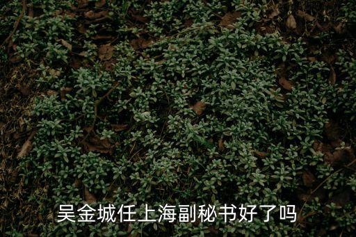 吳金城任上海副秘書好了嗎