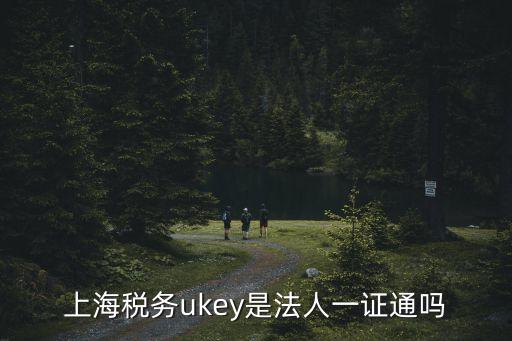 上海稅務(wù)ukey是法人一證通嗎