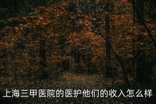 上海三甲醫院的醫護他們的收入怎么樣