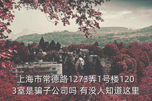 上海市山海工學團，上海市常德路1273弄1號樓1203室是騙子公司嗎 有沒人知道這里