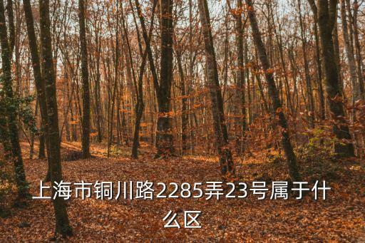 上海市銅川路2395弄是哪個區，銅川路二六五五弄的郵編