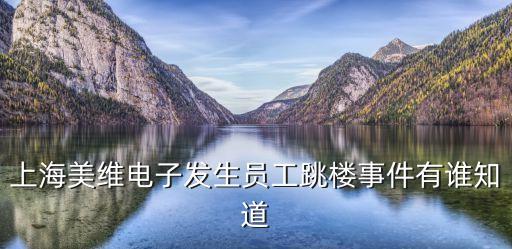 上海美維電子發(fā)生員工跳樓事件有誰知道
