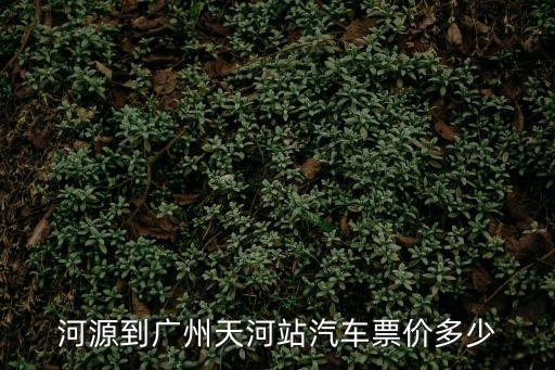 河源到廣州天河站汽車票價多少