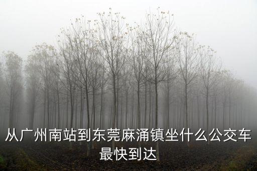 廣州南站東莞麻涌鎮坐什么車方便，從廣州坐什么車到東莞麻涌鎮最快