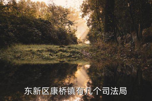 上海市有多少司法所，東新區康橋鎮有幾個司法局