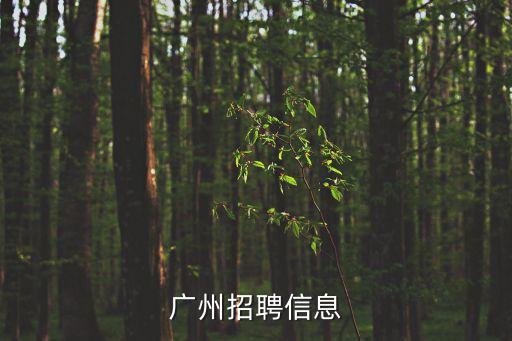 廣州碼易科技有限公司招聘信息，廣州招聘信息