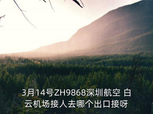 3月14號ZH9868深圳航空 白云機場接人去哪個出口接呀