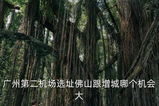 廣州第二機場選址佛山跟增城哪個機會大