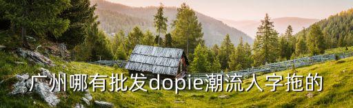 廣州人字拖哪里有賣，廣州哪有批發(fā)dopie潮流人字拖的