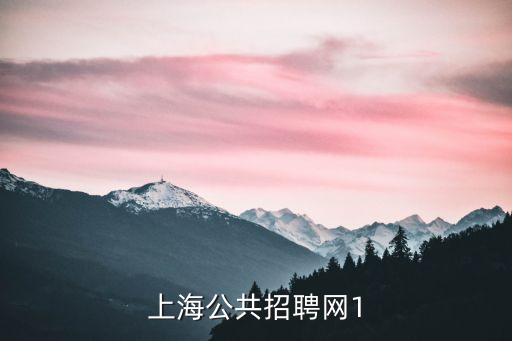 上海公共招聘網1