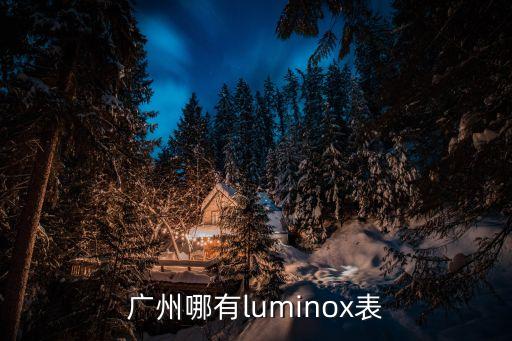 魯美諾斯軍表廣州店，廣州那里有Luminox魯美諾斯手表的專賣店