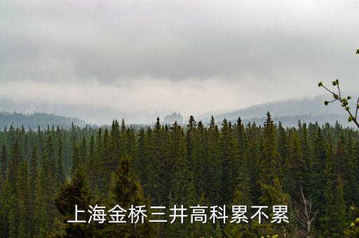 上海市8小時(shí)的工作，上海金橋三井高科累不累