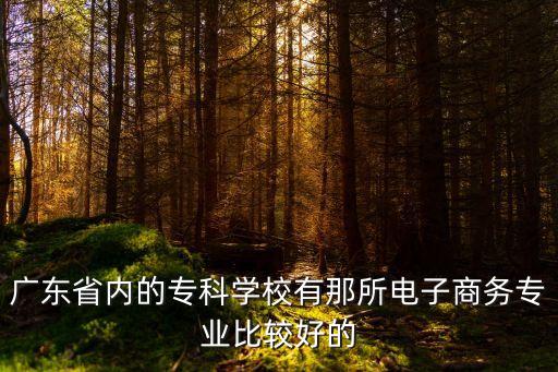 廣東省內的專科學校有那所電子商務專業比較好的